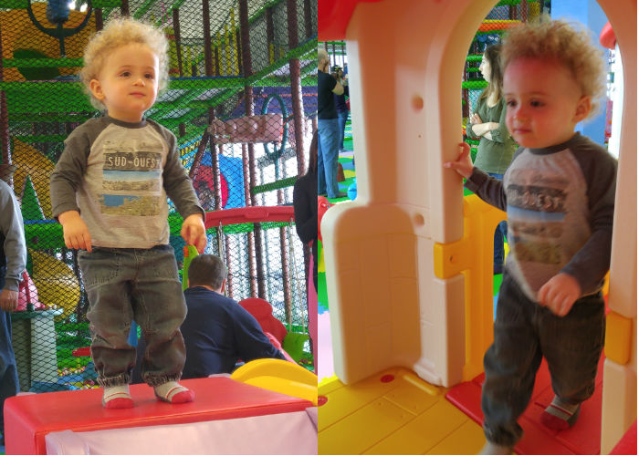 lotus
