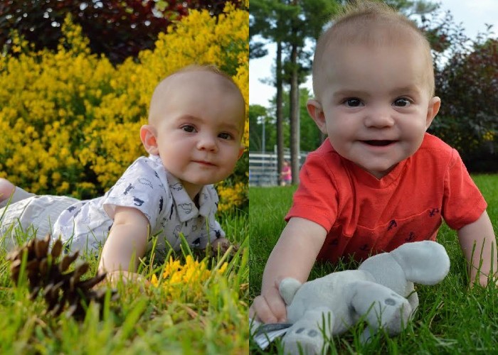 grass-blades